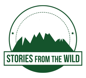 Stories from the Wild